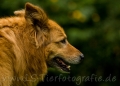 13 FC-Treffen 2011